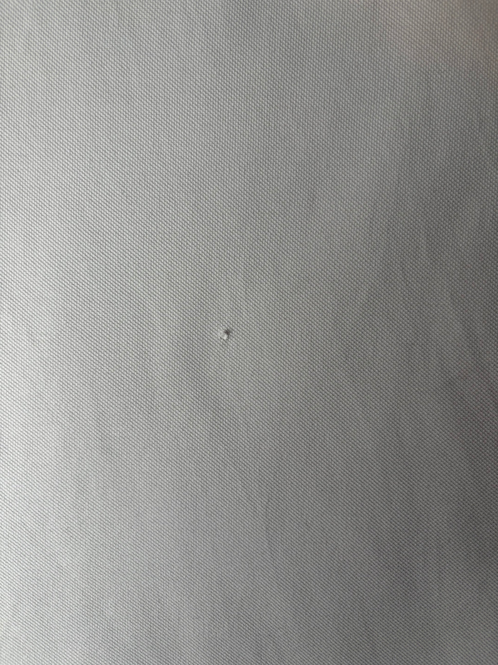 Ralph Lauren Polo Shirt (L)