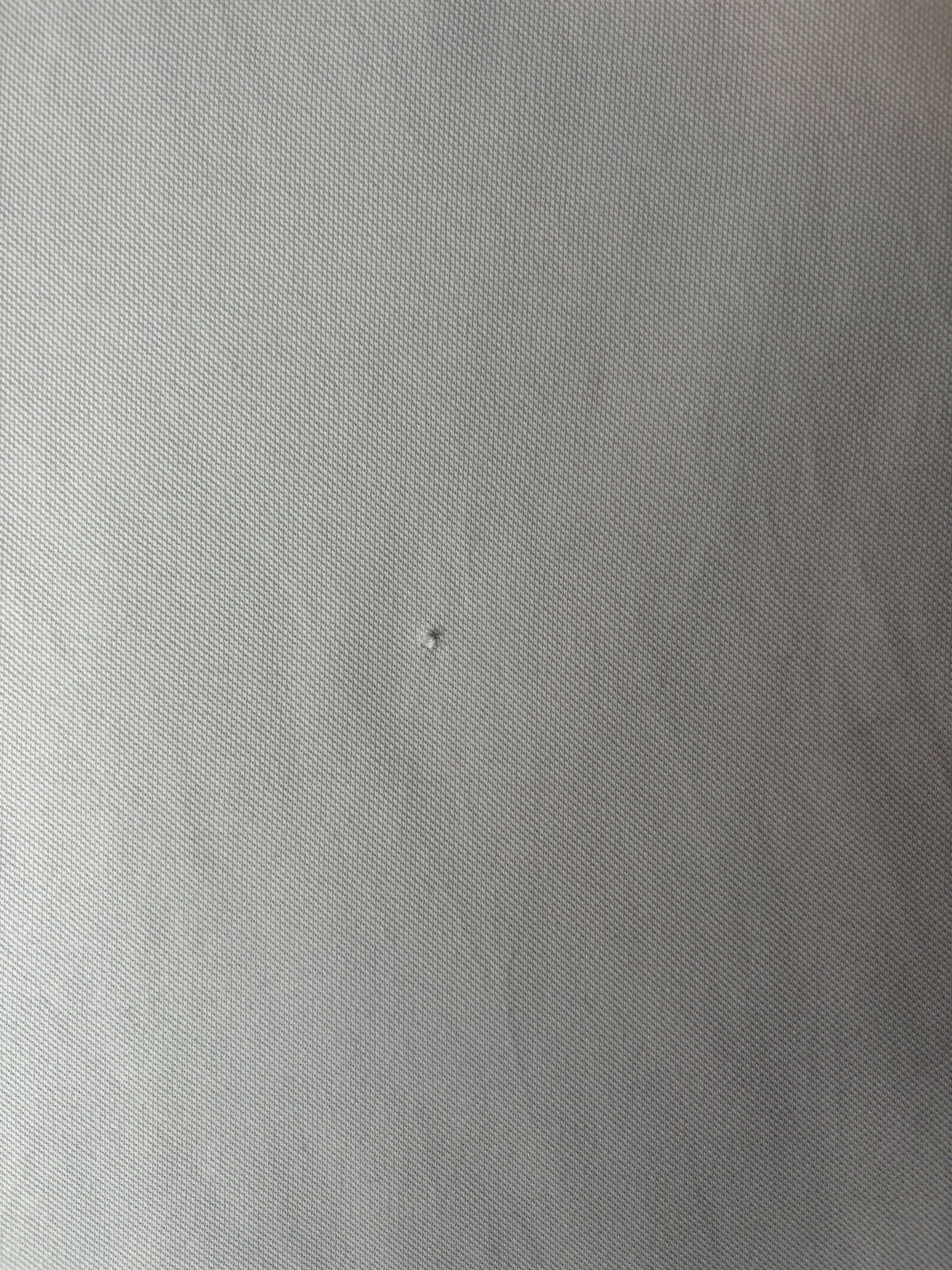 Ralph Lauren Polo Shirt (L)